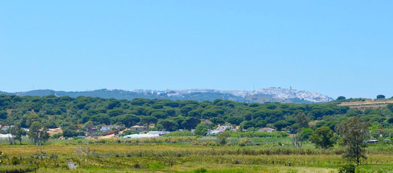 Poniente Daire Barbate Dış mekan fotoğraf